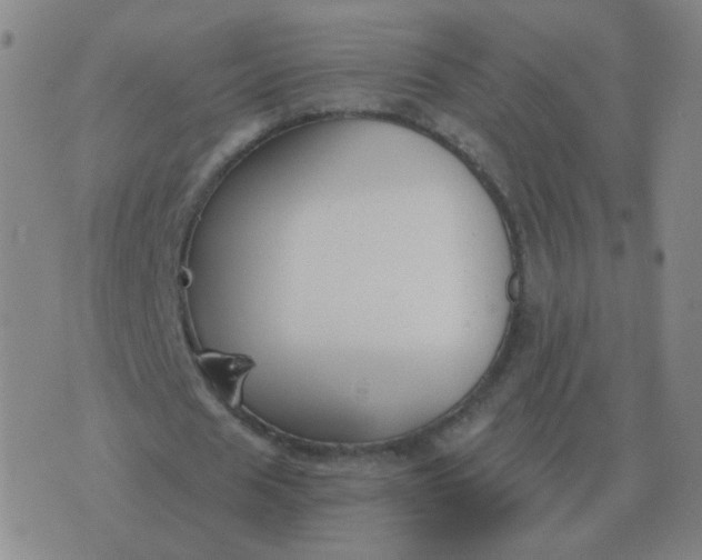 X0000076390625200610202105