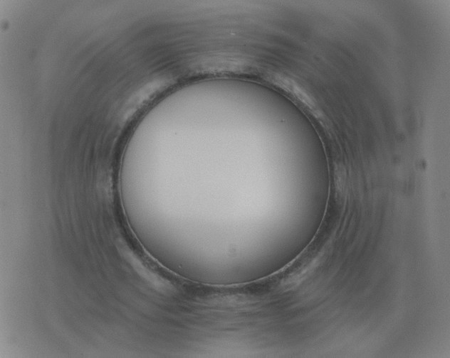 X0000076390629200610202105