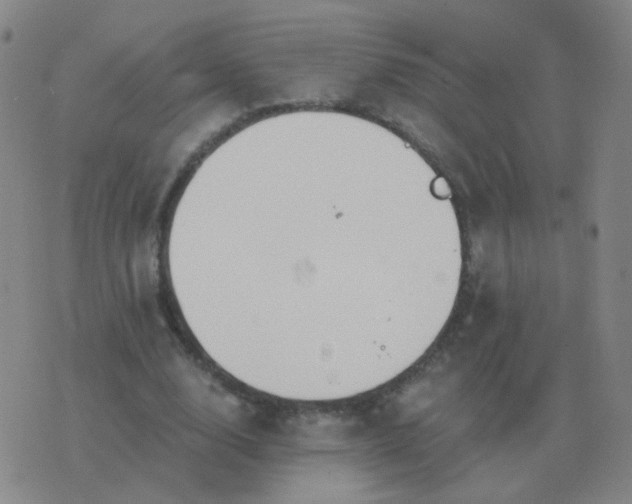 X0000076390632200610202105