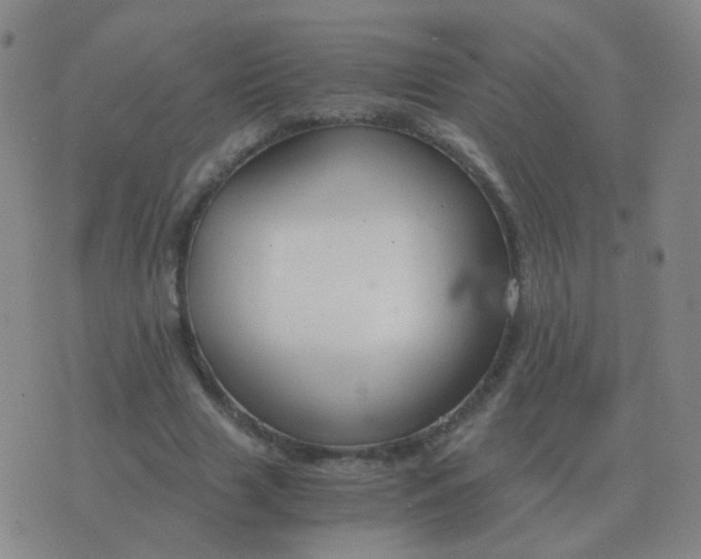 X0000076390633200610202105