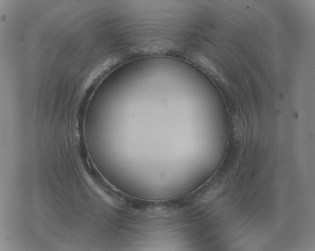 X0000076390634200610202105