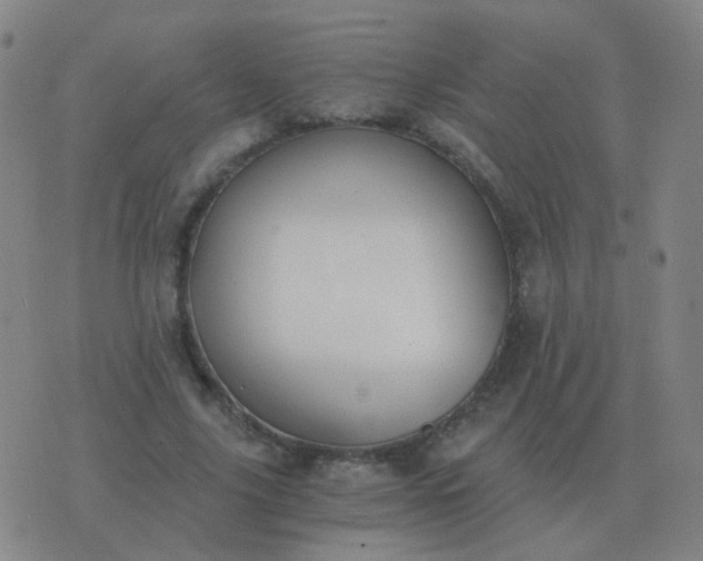 X0000076390635200610202105