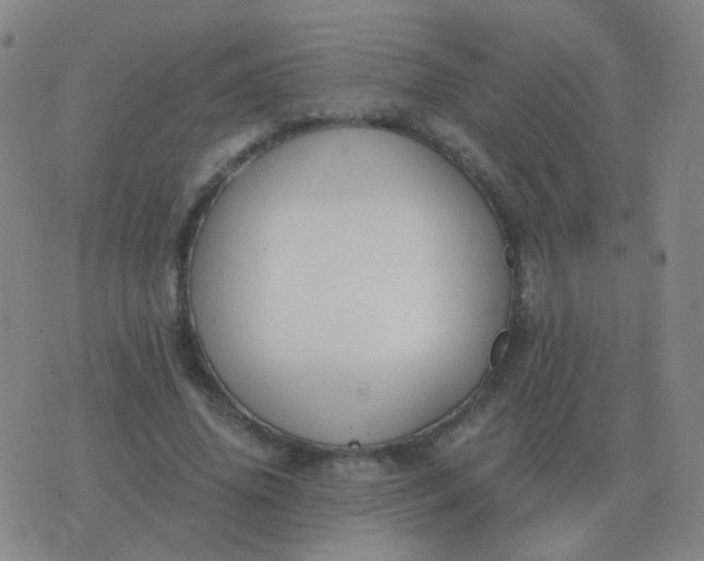 X0000076390636200610202105