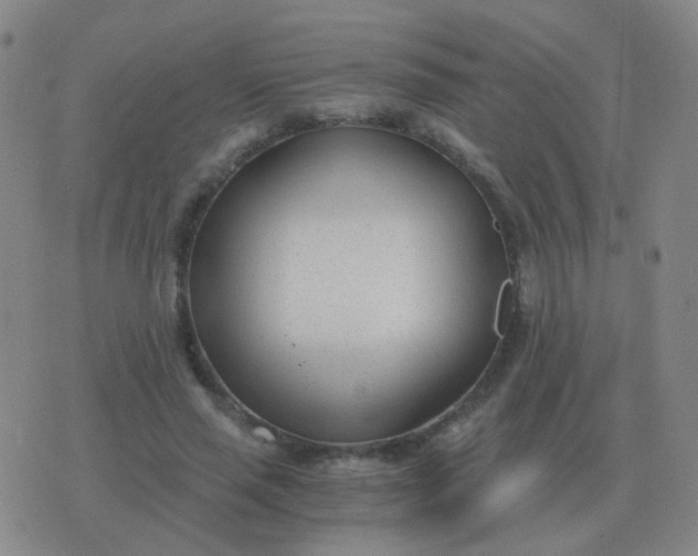 X0000076390637200610202105