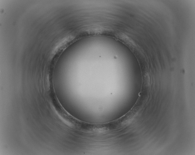 X0000076390638200610202105