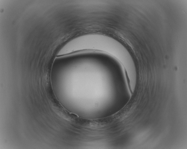 X0000076390641200610202105