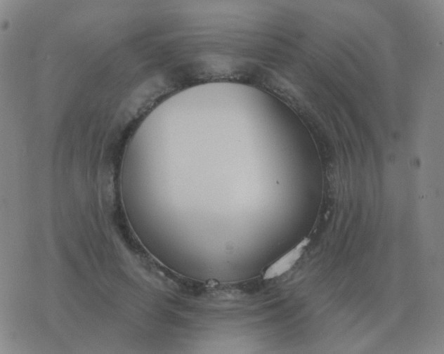 X0000076390642200610202105