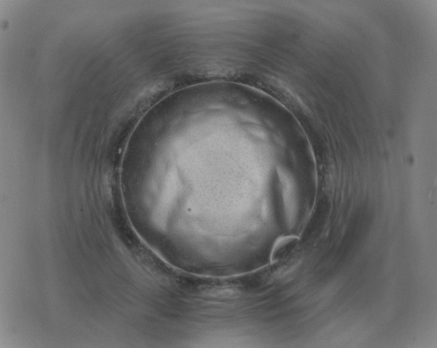 X0000076390643200610202105