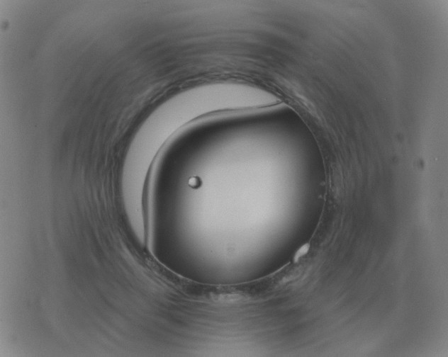 X0000076390645200610202105