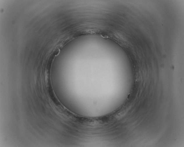 X0000076390646200610202105