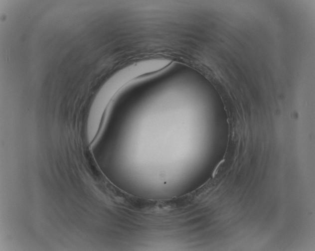 X0000076390647200610202105