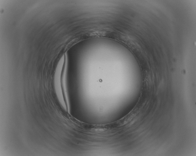 X0000076390649200610202105