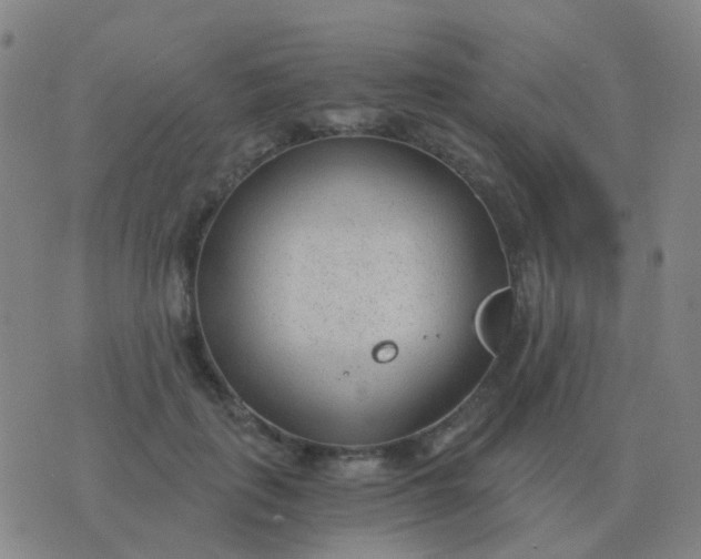 X0000076390651200610202105