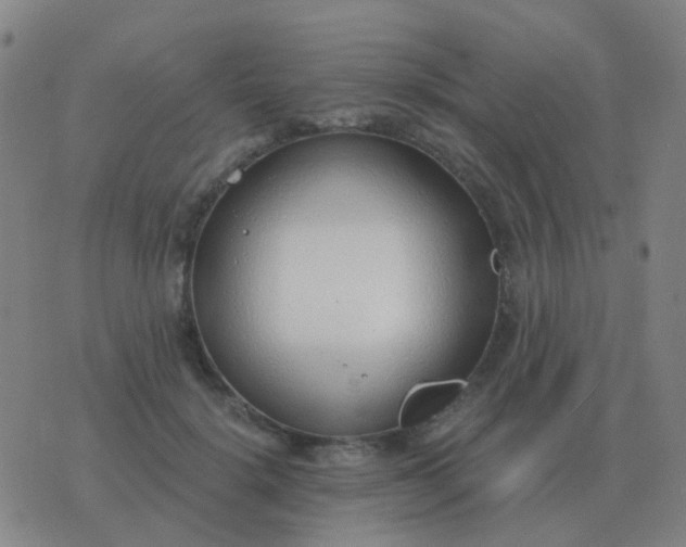 X0000076390652200610202105