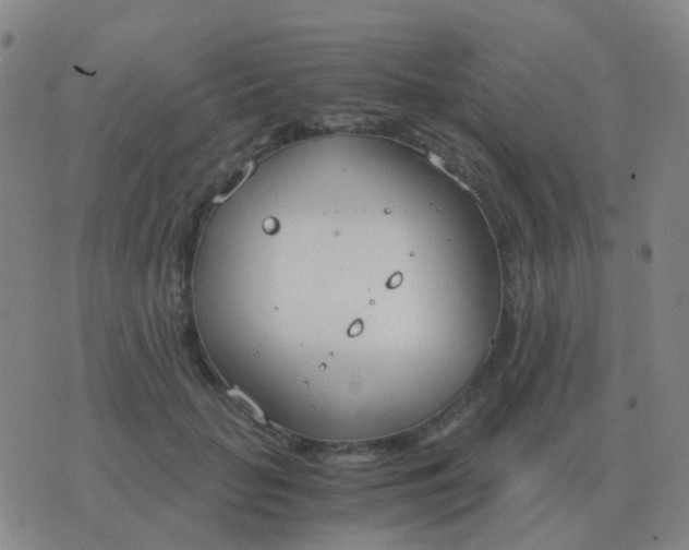 X0000076390653200610202105