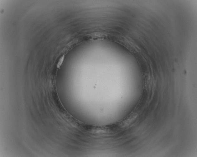 X0000076390655200610202105