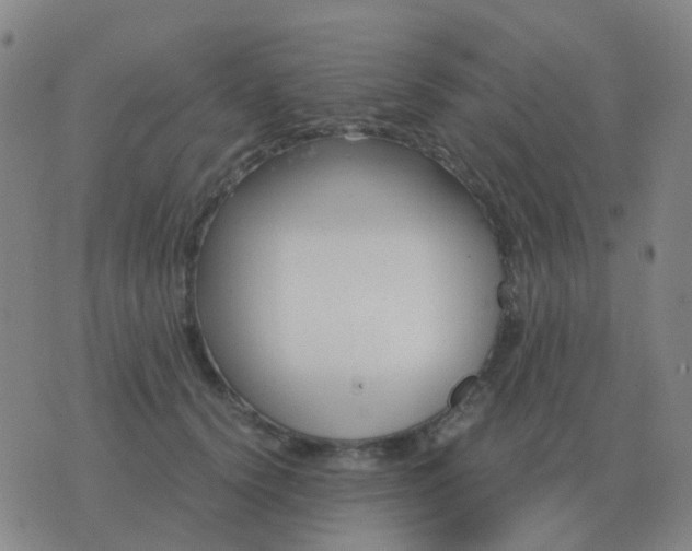 X0000076390656200610202105