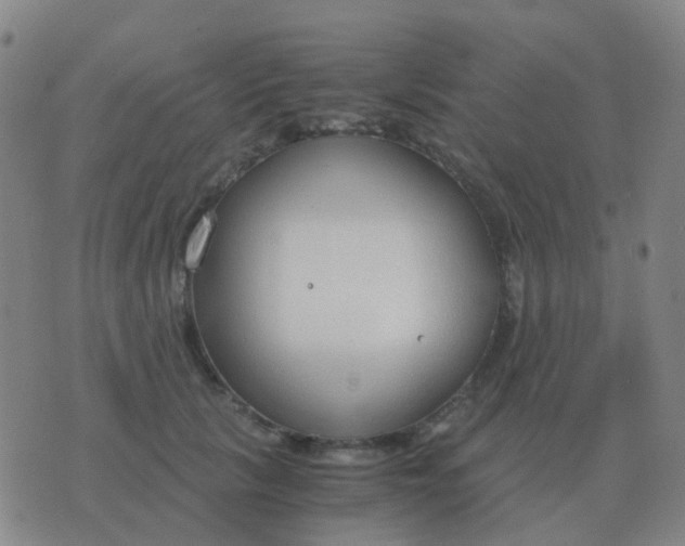 X0000076390657200610202105