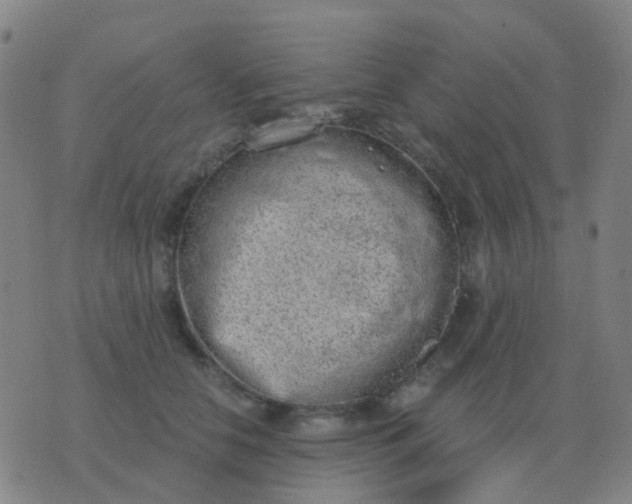 X0000076390658200610202105