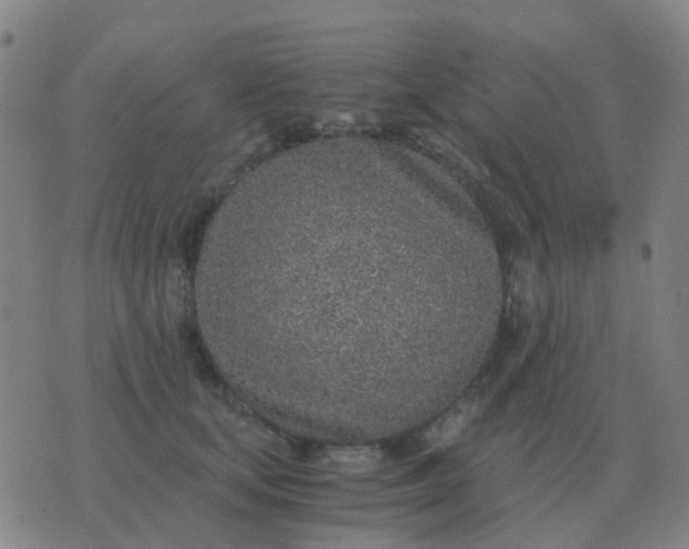 X0000076390659200610202105