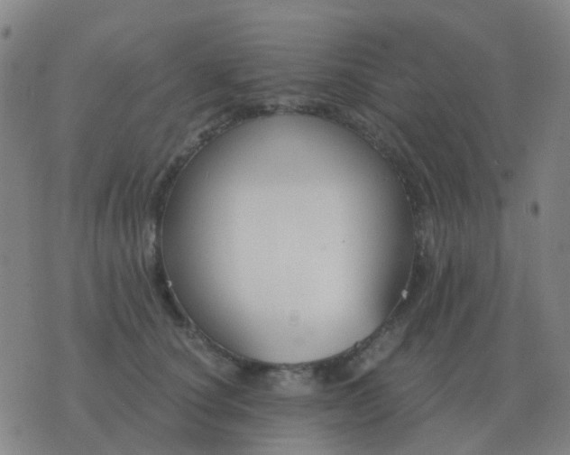 X0000076390660200610202105