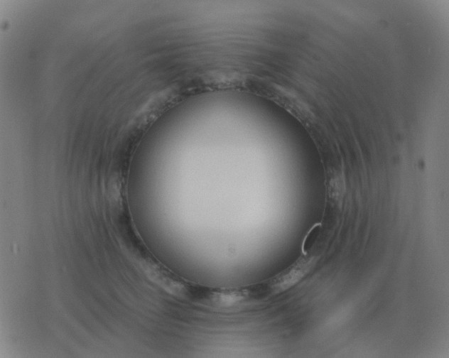 X0000076390662200610202106