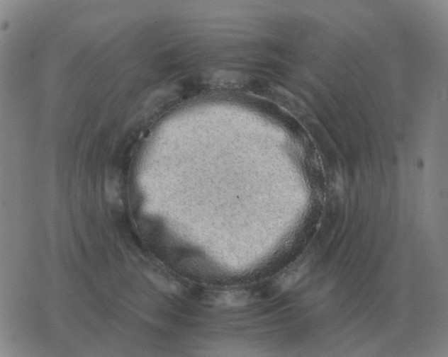 X0000076390663200610202106