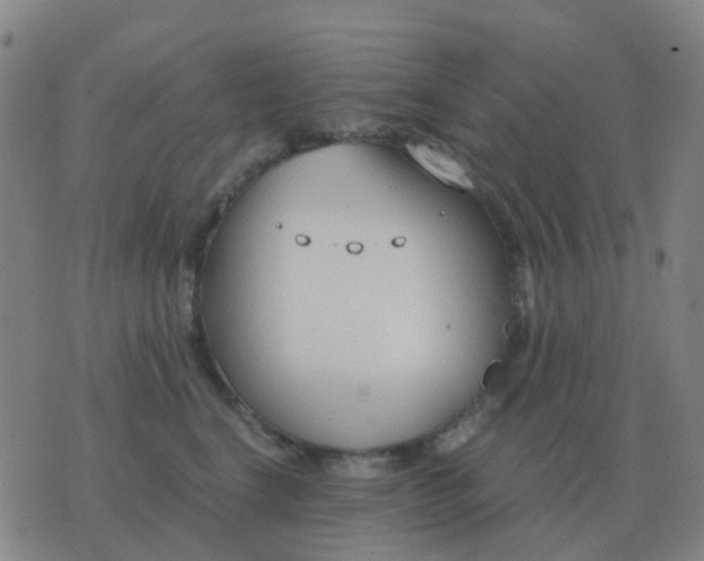 X0000076390664200610202106