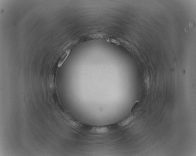 X0000076390665200610202106