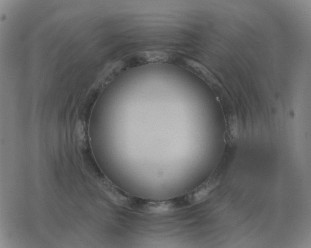 X0000076390667200610202106