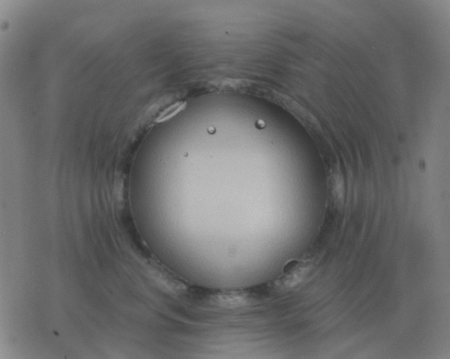 X0000076390668200610202106