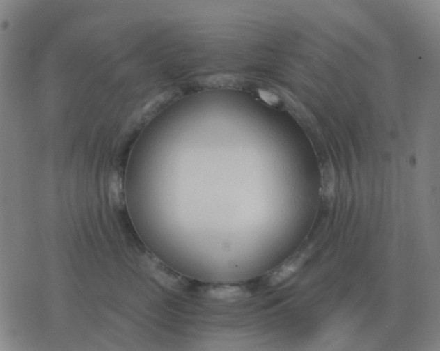 X0000076390669200610202106