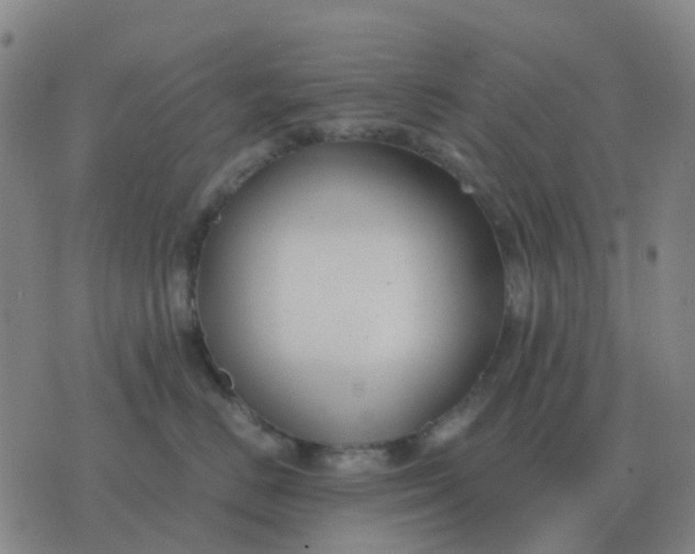 X0000076390670200610202106