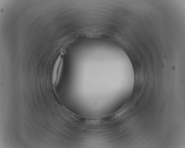 X0000076390671200610202106