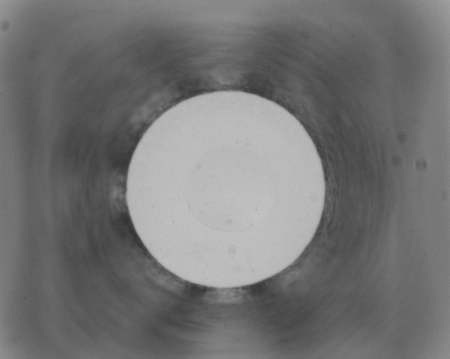 X0000076390672200610202106