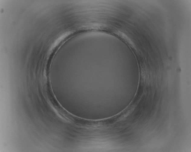 X0000076390674200610202105