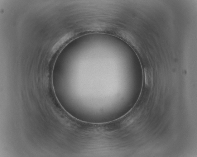 X0000076390675200610202105