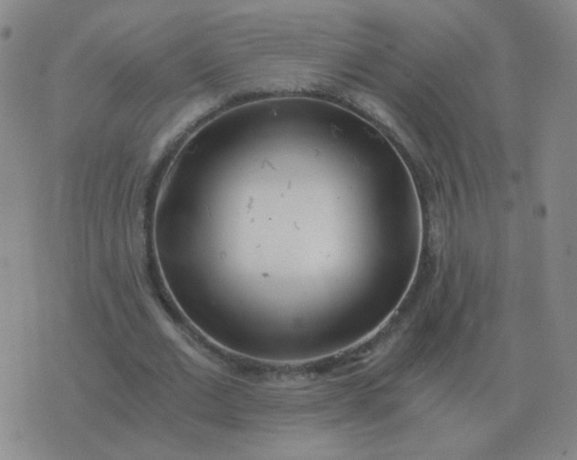 X0000076390677200610202105