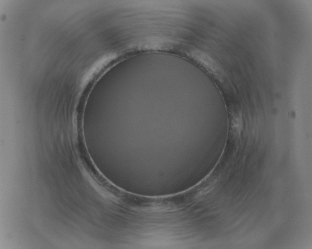 X0000076390678200610202105