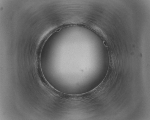 X0000076390680200610202105