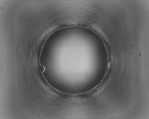 X0000076390681200610202105