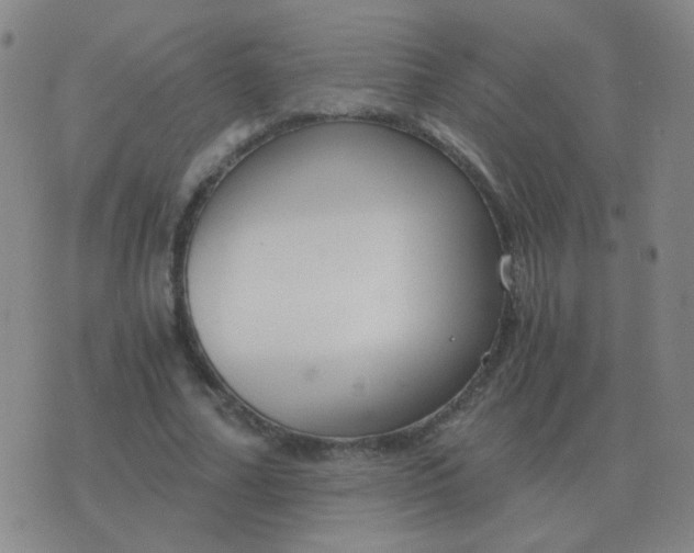 X0000076390682200610202105