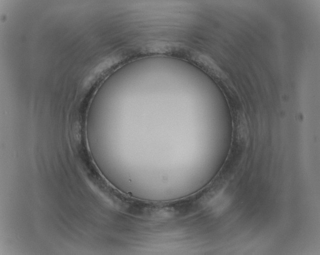 X0000076390683200610202105