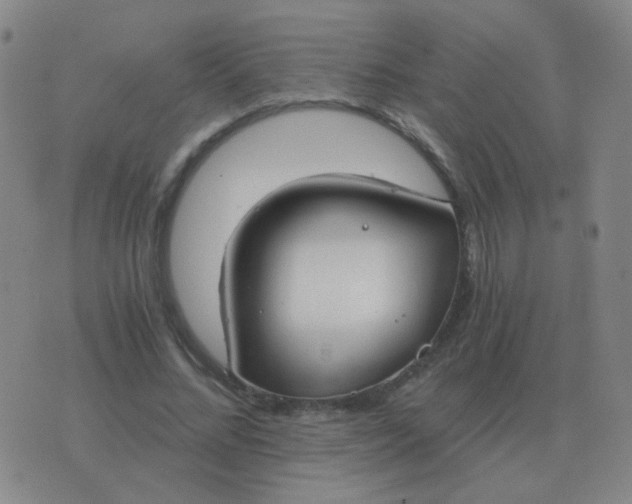 X0000076390684200610202105