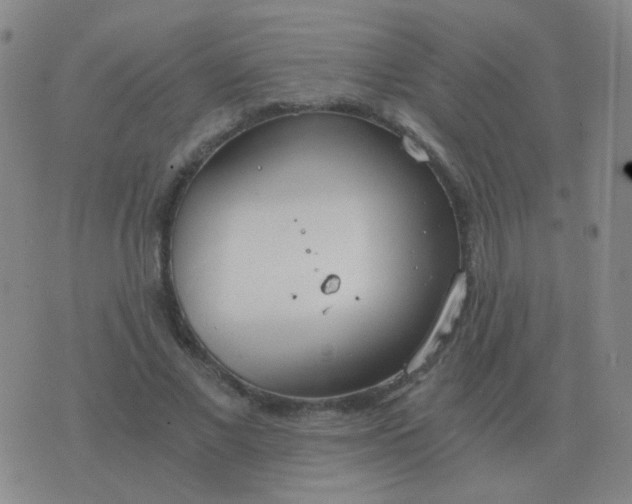 X0000076390685200610202105