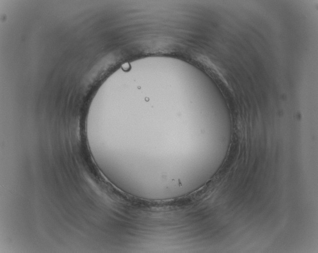 X0000076390686200610202105