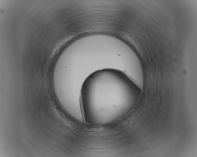 X0000076390688200610202105