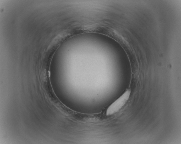 X0000076390689200610202105