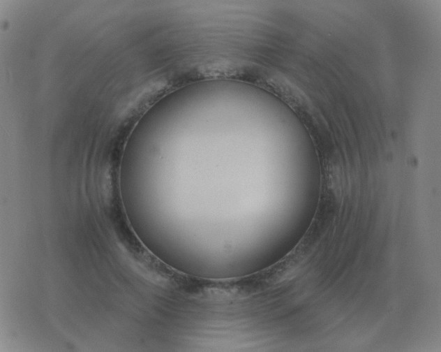 X0000076390690200610202105