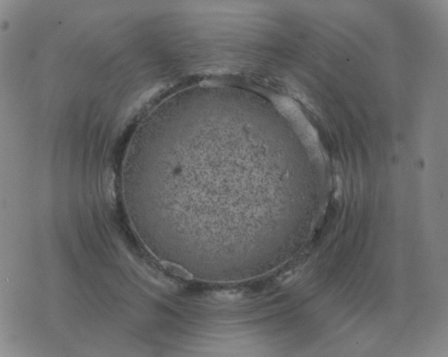 X0000076390692200610202105